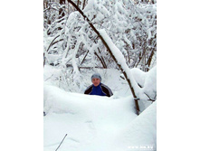 ��������� ������� ������� IMG_0412