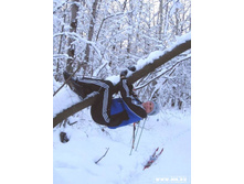 ��������� ������� ������� IMG_0416