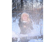 �������� ����