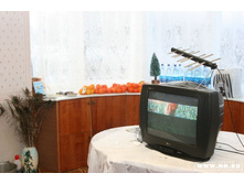 ���� ���� �������� ��������� ����������