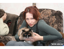 �� ����� ��������