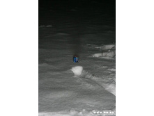 ������ ����� ��� ��������!