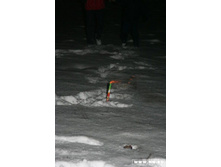 ������ ������