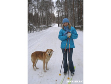 ������������ � ����