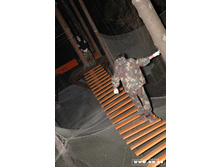 ������ ������