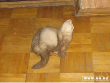 �������...