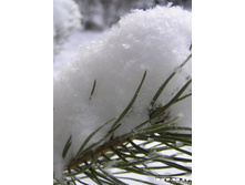 ������������ � ��������...