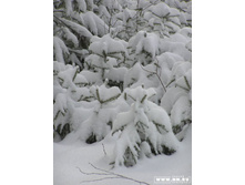 � ���� �������� ������))