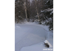 ����� ����