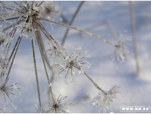 ...���������...