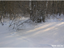 �������� ������