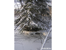 ���� �� ��������