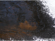 ...��� ���...