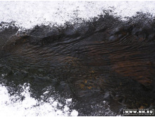 ...����� ������� � �������!