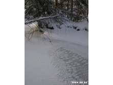 ��� ����� ������...