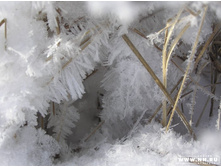 ���� ������)))