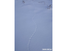 ...����� ������...