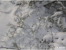 ...� ��� ��� ��������)