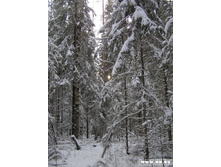 ���������� ��������