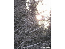 ������� ������