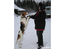 ��� � ��� ����� �����