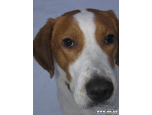 ��� ����� �������...