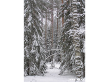 ...����� �����...