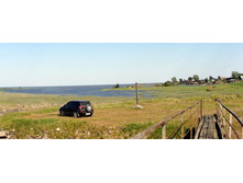 ����� ����