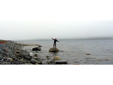 ���������...