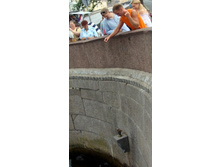 � ������