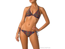 Article: WPK221202 Fatima