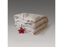 ������ ������� ������ ��������� �����������.jpg