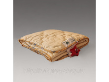 ������ ������ ��������� �������� ������.jpg