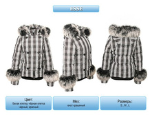 0ea915886ad2.jpg  4980�