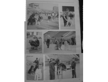 ����������� ������ ��������� �������� ���