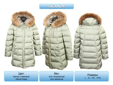 639f17621944.jpg  4540�