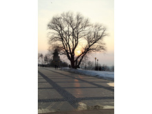 DPP_0017.JPG