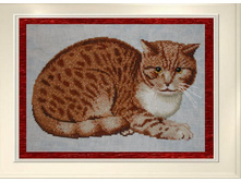 ���������� ���