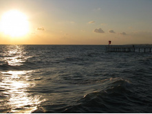 ����� ����