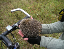 ����������� ������� ������!))