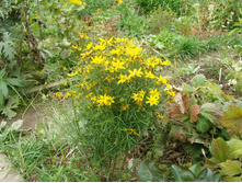 ��������� ���������� �����*)+24�