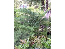 ������ ��������������*)