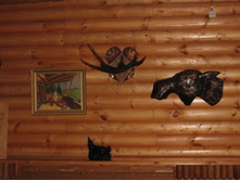 �������� � ��������