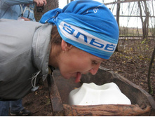 �������?