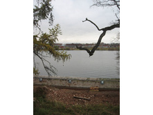 �. ��������