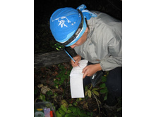 ������ ������ ���� 1. (������������)