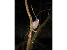 ���� ��� ��