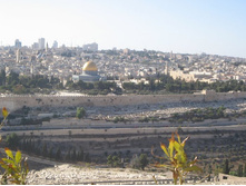 �������� ����������