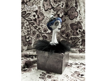 �������� ����� ����