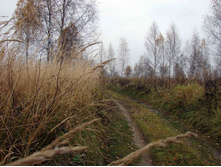 ����� � �����